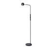 Lampa podłogowa COMET 36721/03/30 Lucide