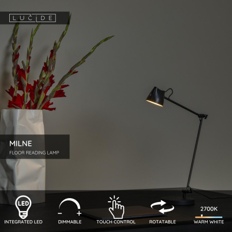 Lampa podłogowa MILNE 44616/06/30 Lucide