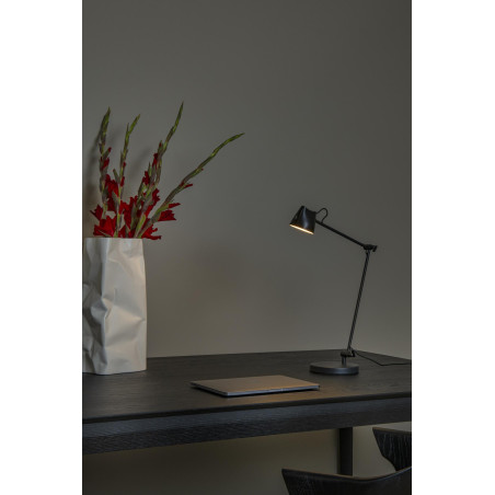 Lampa podłogowa MILNE 44616/06/30 Lucide