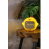 Lampa stołowa PINCHA DUCK 54500/01/34 Lucide