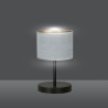Lampka biurkowa  HILDE LN1 BL GRAY 1050/LN1 EMIBIG
