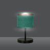 Lampka biurkowa  HILDE LN1 BL GREEN 1051/LN1 EMIBIG