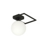 Lampa sufitowa  IMAGO 1E BLACK/OPAL 1130/1E EMIBIG