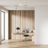 Lampa sufitowa  SPLENDI 2 WH GRAFIT 1247/2 EMIBIG