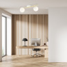 Lampa sufitowa  SPLENDI 2 WH OPAL 1249/2 EMIBIG