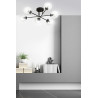 Lampa sufitowa  BRENDI 6B BL TRANSPARENT 831/6B EMIBIG