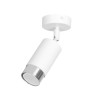 Lampa sufitowa  HIRO 1 WH/CHROME 962/1 EMIBIG