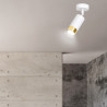 Lampa sufitowa  HIRO 1 WH/GOLD 963/1 EMIBIG