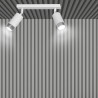 Lampa sufitowa  HIRO 2 WH/CHROME 962/2 EMIBIG
