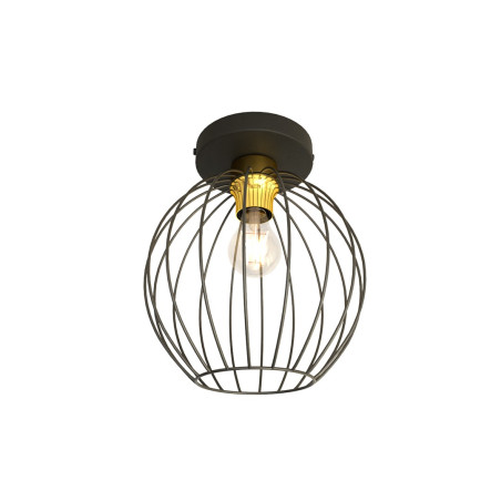 Lampa sufitowa NEST 1 BL GOLD 1370/1 EMIBIG