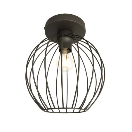 Lampa sufitowa NEST 1 BL 1371/1 EMIBIG