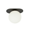 Lampa sufitowa  PLAZA 1 BLACK/OPAL 1118/1 EMIBIG