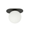 Lampa sufitowa  PLAZA 1 BLACK/OPAL 1118/1 EMIBIG