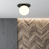 Lampa sufitowa  PLAZA 1 BLACK/OPAL 1118/1 EMIBIG