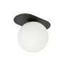 Lampa sufitowa  PLAZA 1 BLACK/OPAL 1118/1 EMIBIG