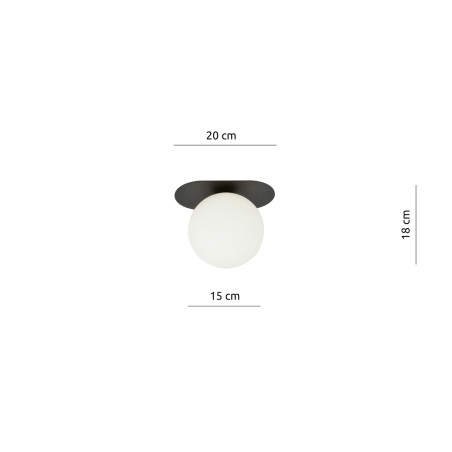 Lampa sufitowa  PLAZA 1 BLACK/OPAL 1118/1 EMIBIG