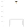 Lampa sufitowa  PLAZA 1 BLACK/MIODOWY 1120/1 EMIBIG