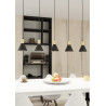 Lampa wisząca ROSA 5 BL 1388/5 EMIBIG