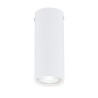 Lampa sufitowa TECNO 1S WHITE 1317/1S EMIBIG