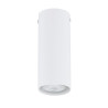 Lampa sufitowa TECNO 1S WHITE 1317/1S EMIBIG