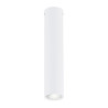 Lampa sufitowa TECNO 1M WHITE 1317/1M EMIBIG