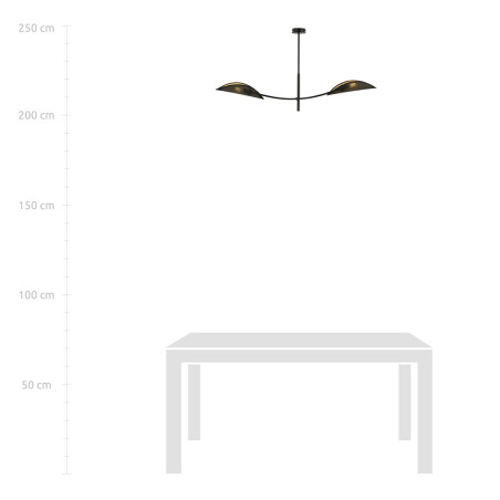 Lampa sufitowa  LOTUS 2 BLACK/GOLD 1106/2 EMIBIG