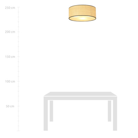 Lampa sufitowa  ASTON 3 RATTAN 1149/3 EMIBIG