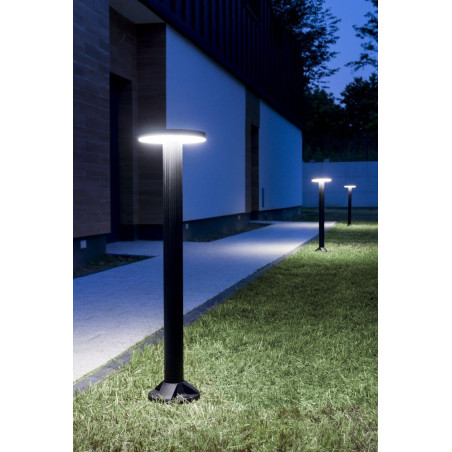Głowica lampy Rondo II RO-HEAD SU-MA