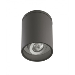 Lampa sufitowa zewnętrzna Adela 7004 DG SU-MA