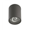 Lampa sufitowa zewnętrzna Adela 7004 DG SU-MA