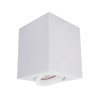 NOWOŚĆ Oprawa natynkowa Lyon biała 1xGU10 Light Prestige