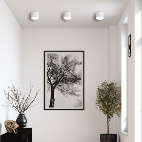 NOWOŚĆ Oprawa natynkowa Kendal biała IP65 GX53 Light Prestige