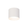 NOWOŚĆ Oprawa natynkowa Kendal L biała GX53 Light Prestige