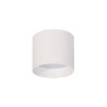NOWOŚĆ Oprawa natynkowa Kendal L biała GX53 Light Prestige