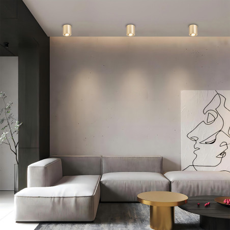 NOWOŚĆ Oprawa natynkowa Tulon złota 1xGU10 Light Prestige