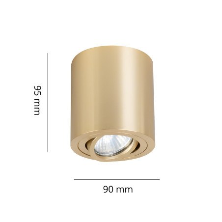 NOWOŚĆ Oprawa natynkowa Tulon złota 1xGU10 Light Prestige