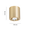 NOWOŚĆ Oprawa natynkowa Tulon złota 1xGU10 Light Prestige