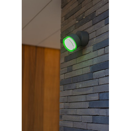 Lampa zewnętrzna ścienna DROPSI 5010901118 Lutec