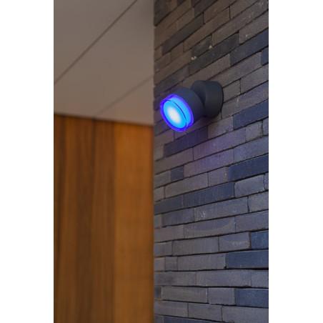 Lampa zewnętrzna ścienna DROPSI 5010901118 Lutec