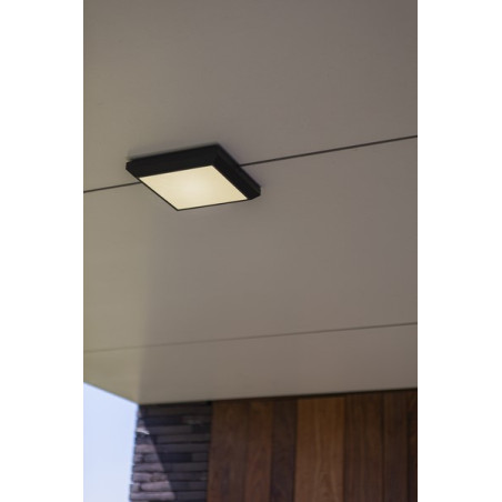 Lampa zewnętrzna ścienna HELENA 5102101118 Lutec