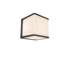 Lampa zewnętrzna ścienna DOBLO 5105002125 Lutec
