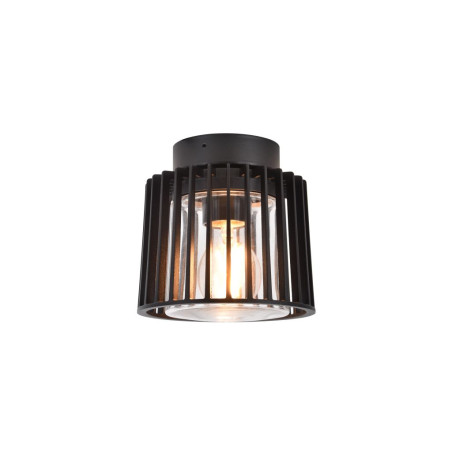 Lampa zewnętrzna sufitowa SHYNE 6397501012 Lutec