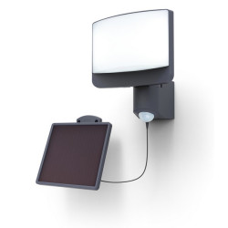 Lampa zewnętrzna ścienna SUNSHINE - CZUJNIK RUCHU 6925604345 Lutec