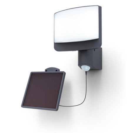 Lampa zewnętrzna ścienna SUNSHINE - CZUJNIK RUCHU 6925604345 Lutec