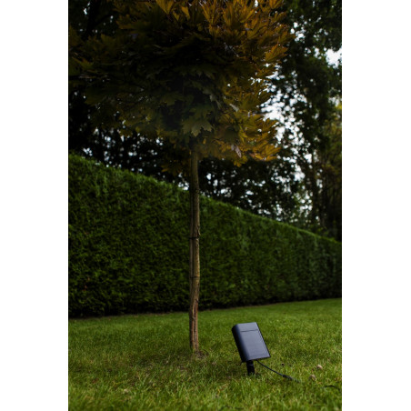 Lampa zewnętrzna solarna BINGO SOLAR 6938401330 Lutec
