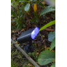 Lampa zewnętrzna ścienna GINBO 6938405330 Lutec