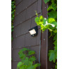 Lampa zewnętrzna ścienna TRY - CZUJNIK RUCHU 6939101330 Lutec