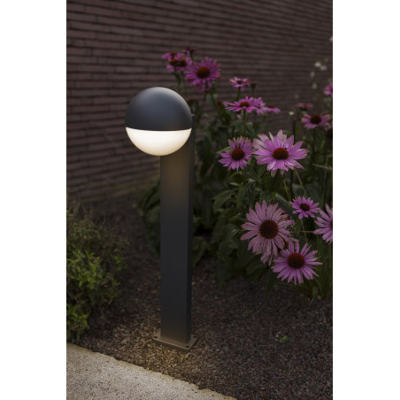 Lampa zewnętrzna ścienna LOOMA 7138001118 Lutec