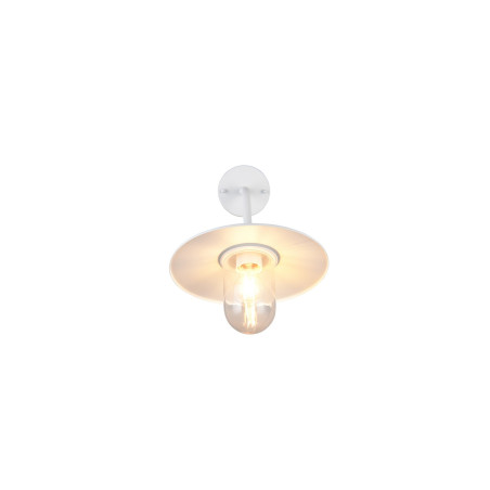 Lampa zewnętrzna ścienna BRENTA 201760131 Trio
