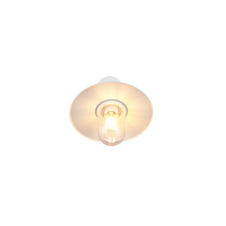 Lampa zewnętrzna ścienna BRENTA 201760131 Trio